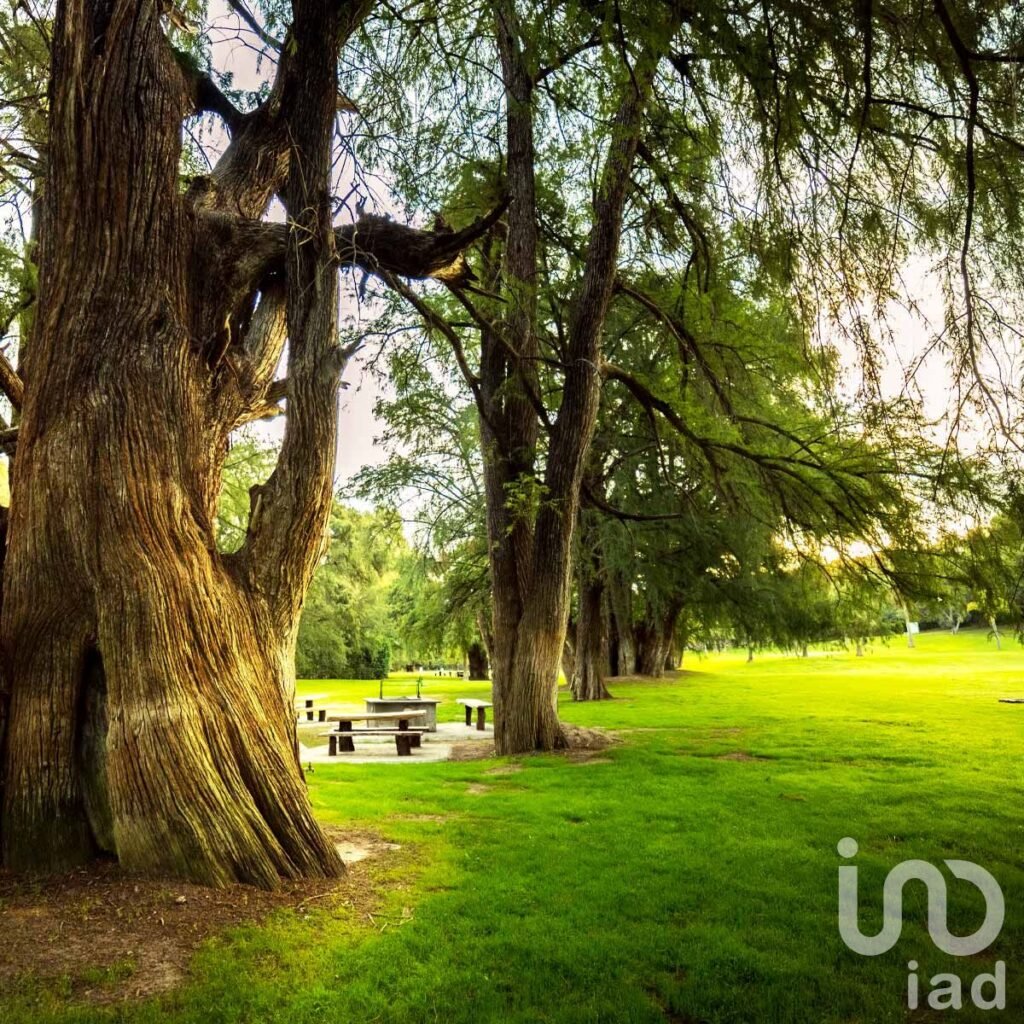 Terreno en venta en Edén Los Sabinos, Aguascalientes - 505bb273993e