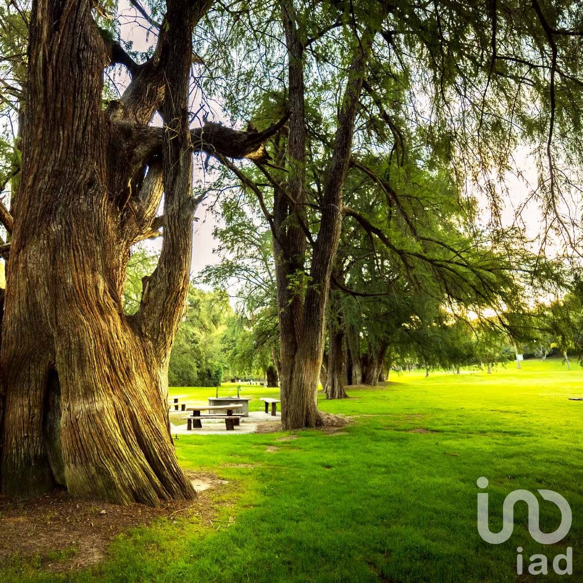 Terreno en venta en Edén Los Sabinos, Aguascalientes