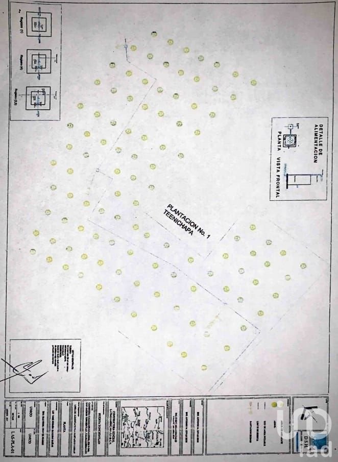 Terreno en Venta 11Ha, San Andrés-Calnali, Hidalgo