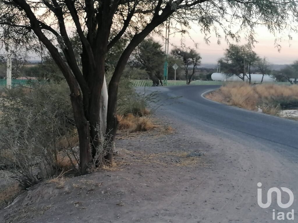 RANCHO ECOLASTICAS, PEDRO ESCOBEDO