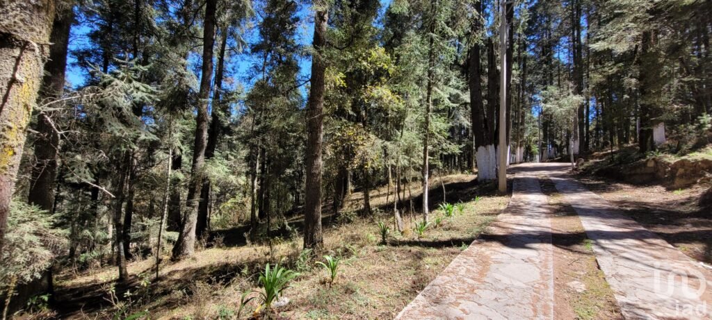 SE VENDE TERRENO RESIDENCIAL EN EL BOSQUE EN EL FRACC. LAS FLORES, MINERAL DE CHICO, HIDALGO - 62c5114c9e41