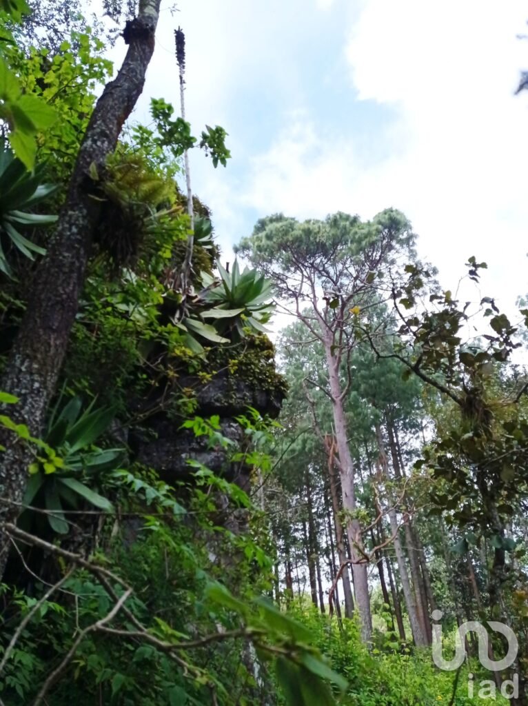 Terreno en venta en San Cristóbal de las Casas , Chiapas - 643d5fa10ece