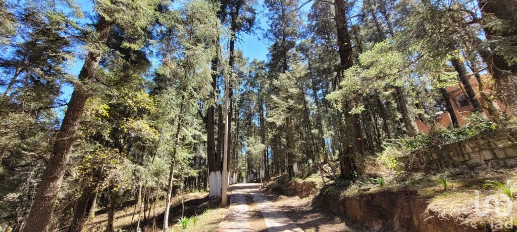 SE VENDE TERRENO RESIDENCIAL EN EL BOSQUE EN EL FRACC. LAS FLORES, MINERAL DE CHICO, HIDALGO