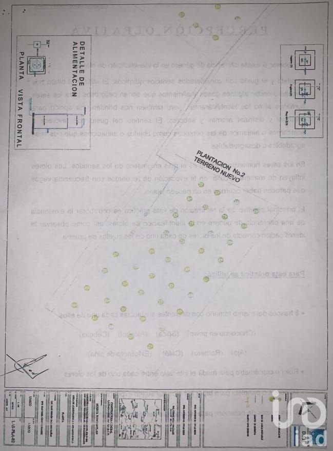 Venta de Terreno Huerto de Aguacate 5Ha, San Andrés, Hidalgo