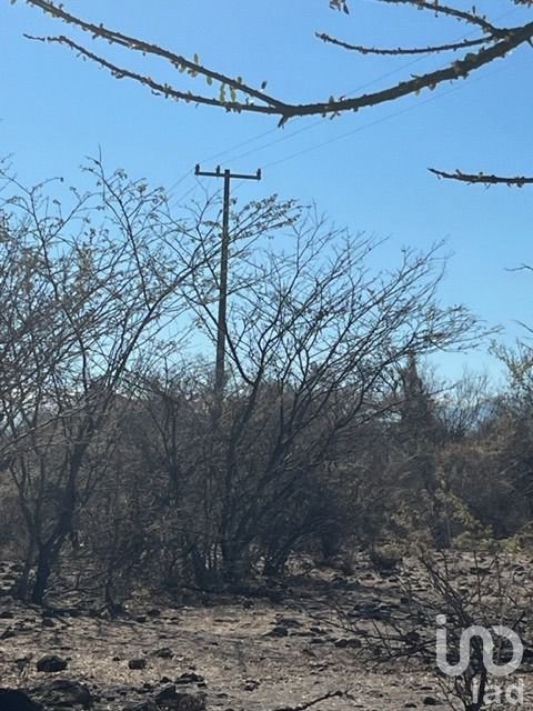 Terreno en Venta en Coatlán del Río, Tecala y  Mazatepec, Amacuzác, Morelos