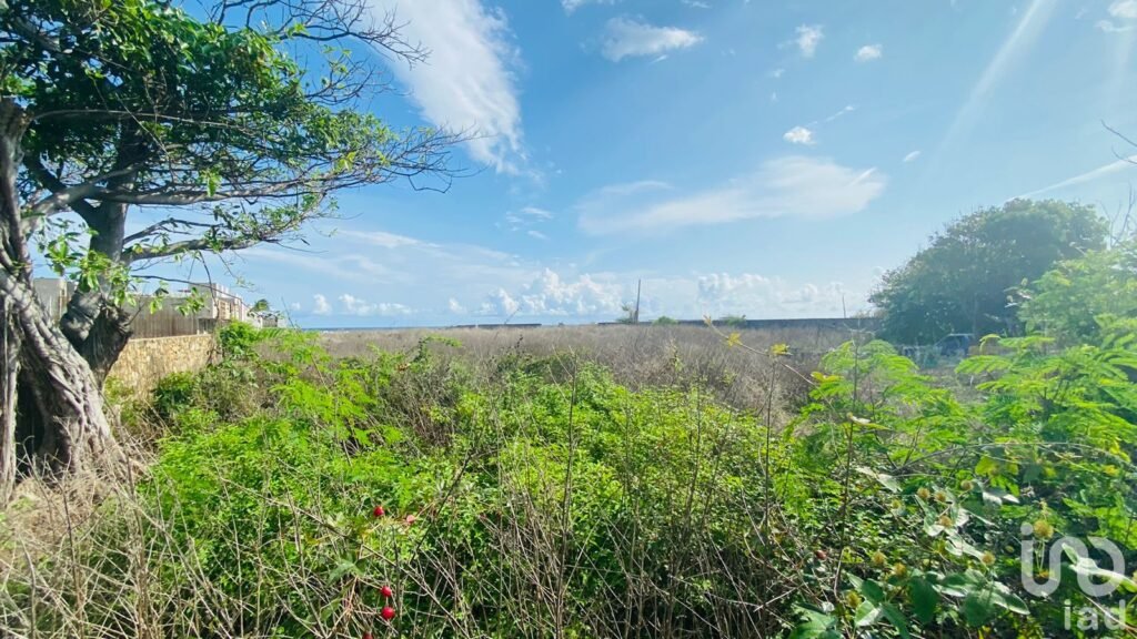 TERRENO EN VENTA BOULEVARD PIE DE LA CUESTA ACAPULCO GUERRERO