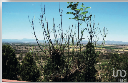 Terreno en venta en San Fandila, Pedro Escobedo, Querétaro