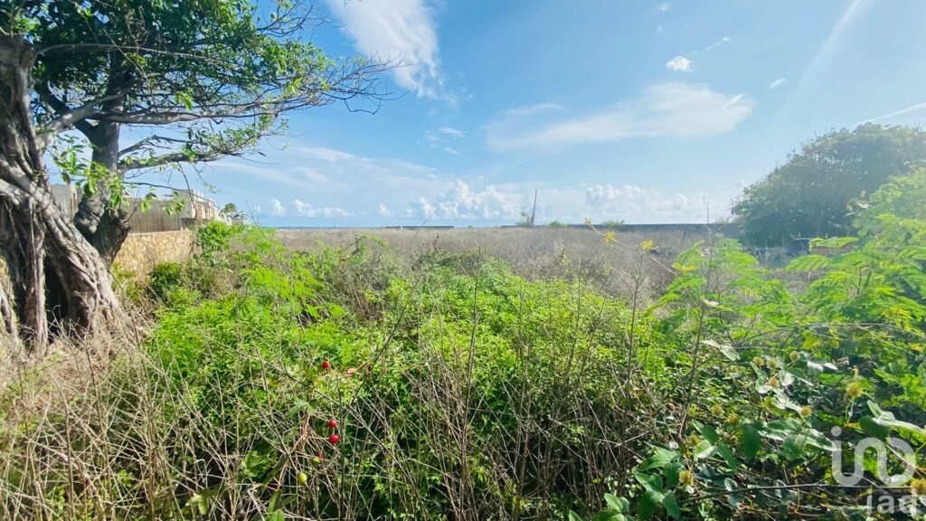 TERRENO EN VENTA BOULEVARD PIE DE LA CUESTA ACAPULCO GUERRERO