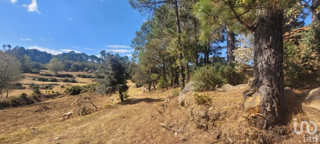 Se vende terreno en Omitlan, Hidalgo.