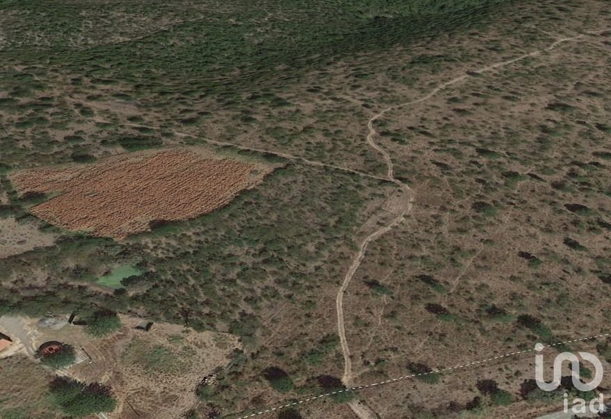 Terreno en Venta en Coatlán del Río, Tecala y  Mazatepec, Amacuzác, Morelos