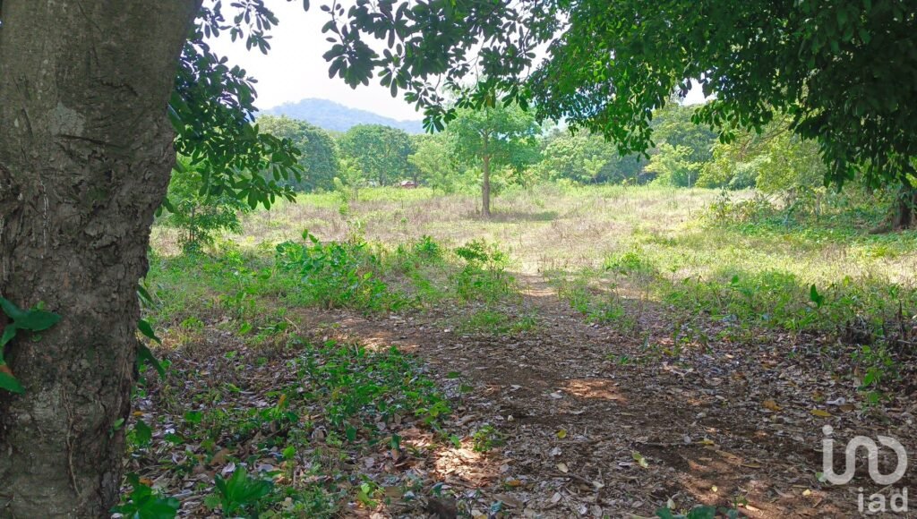 Terreno en venta en Dos de Abril en San Andrés Tuxtla, Ver.