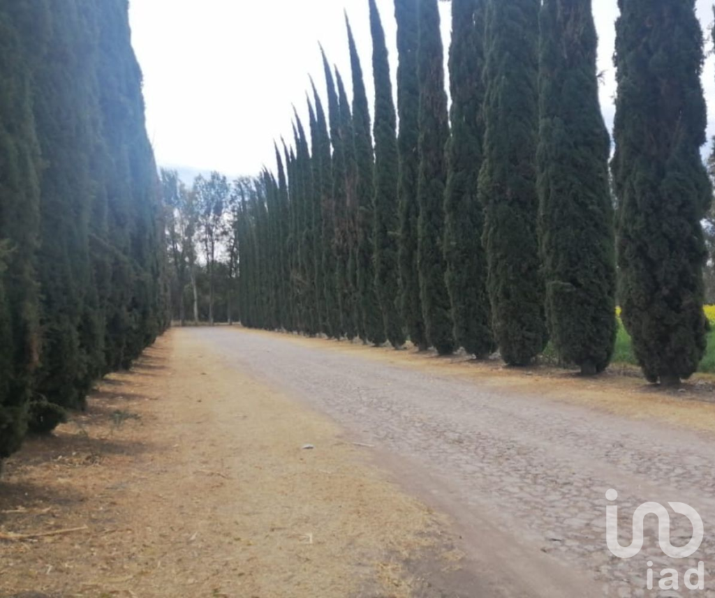 Terrenos en Venta en Huimilpan, Querétaro