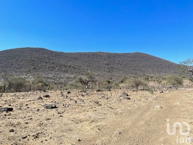 Terreno en Venta en Coatlán del Río, Tecala y  Mazatepec, Amacuzác, Morelos