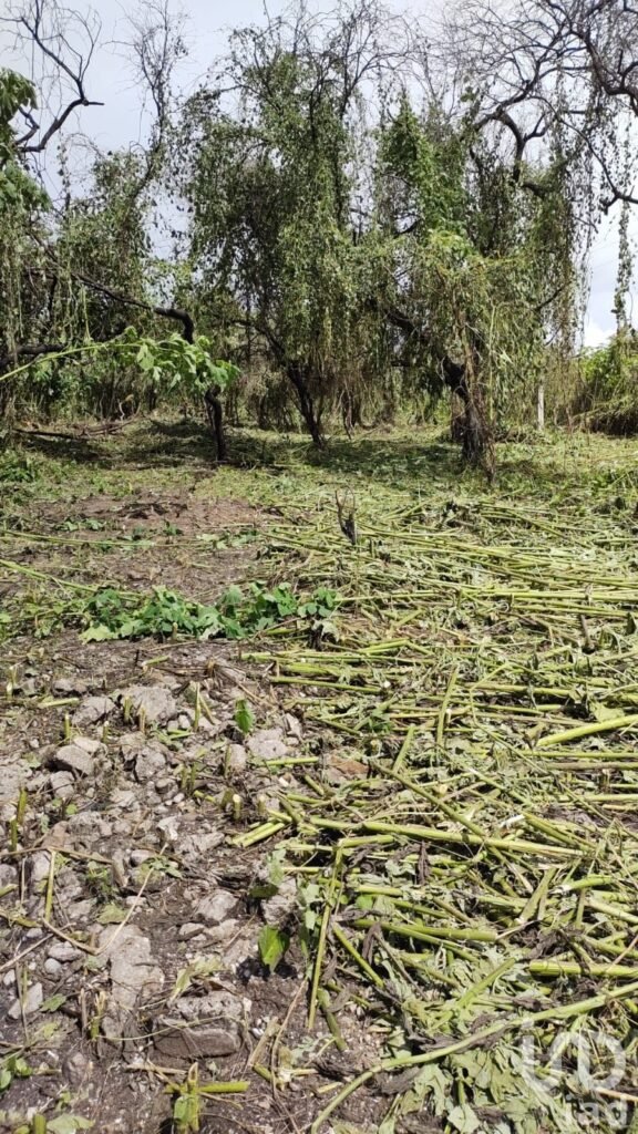 Terreno en Venta frente al Lago de Tequesquitengo, Jojutla, Morelos