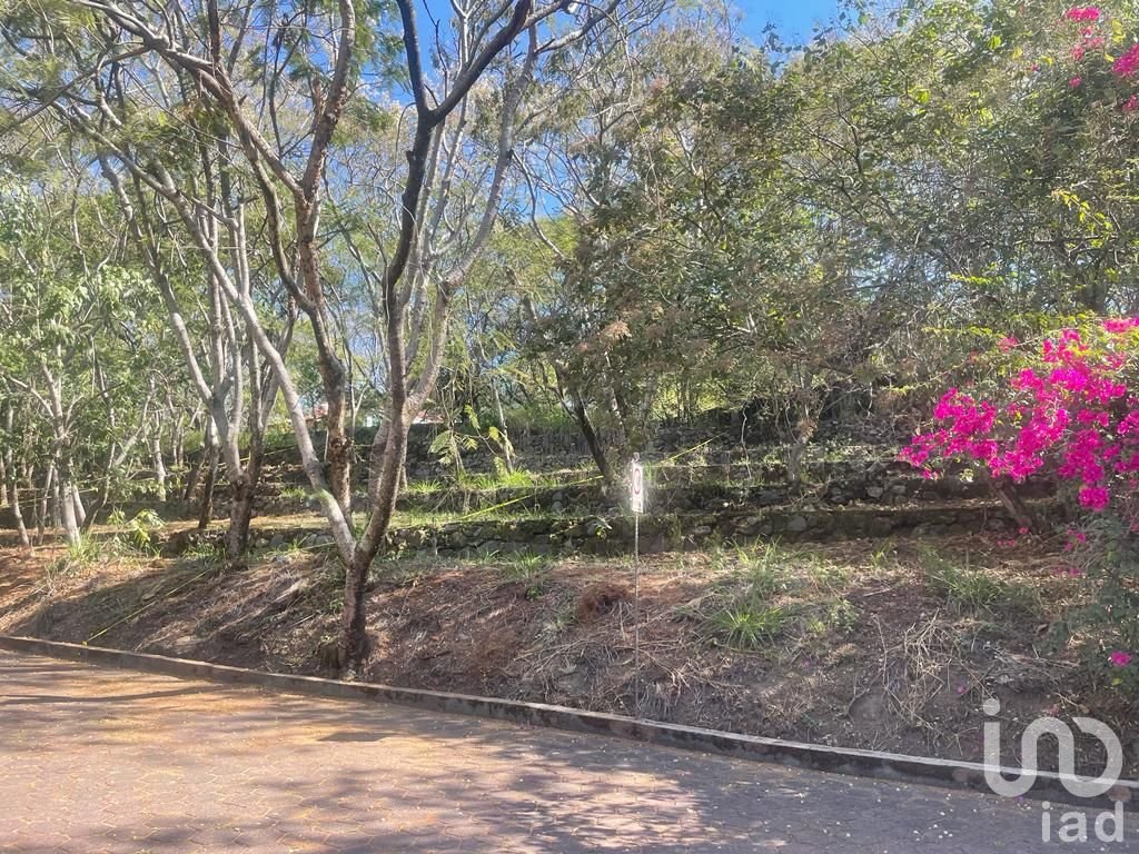 Terreno en Venta Lomas de Atzingo, Lomas de Atzingo, Cuernavaca