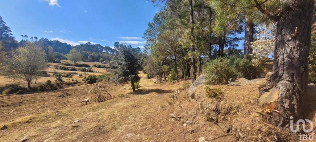 Se vende terreno en Omitlan, Hidalgo.