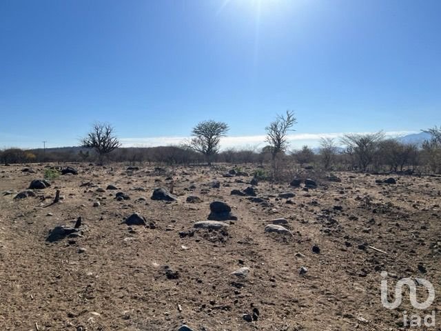 Terreno en Venta en Coatlán del Río, Tecala y  Mazatepec, Amacuzác, Morelos