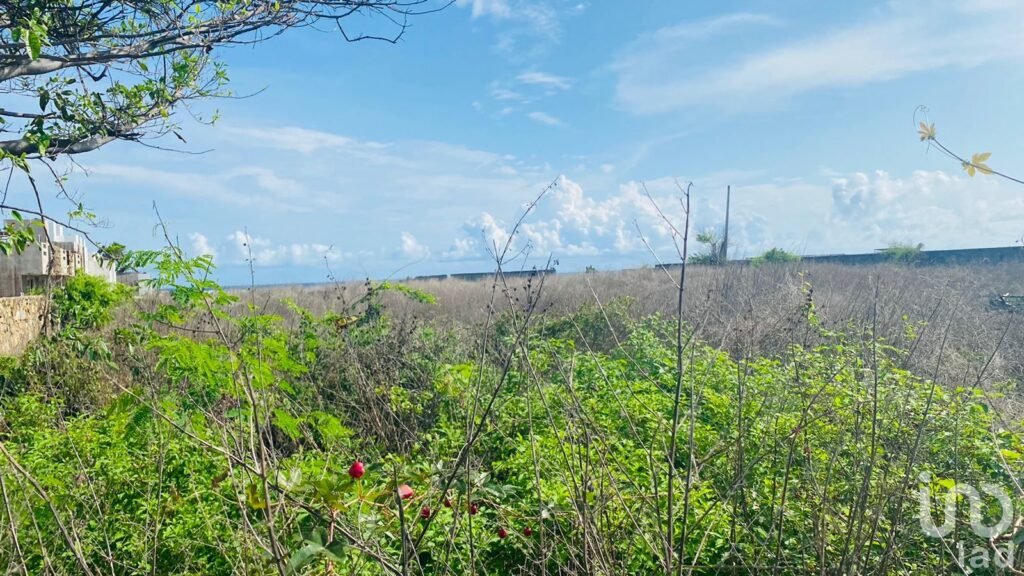 TERRENO EN VENTA BOULEVARD PIE DE LA CUESTA ACAPULCO GUERRERO