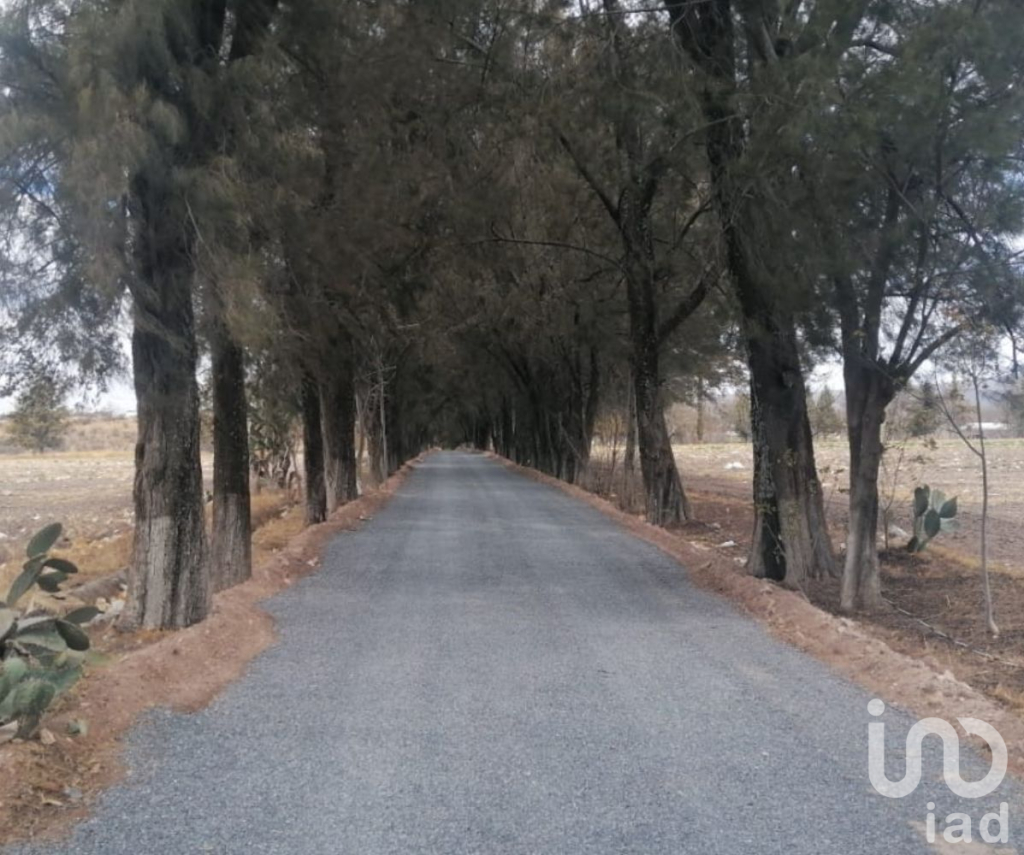 Terrenos en Venta en Huimilpan, Querétaro