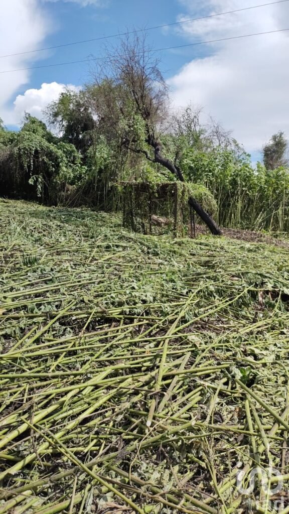 Terreno en Venta frente al Lago de Tequesquitengo, Jojutla, Morelos