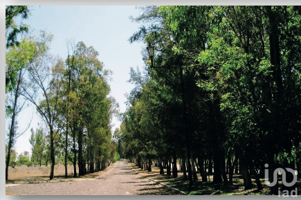 Terreno en venta en San Fandila, Pedro Escobedo, Querétaro Terreno en venta en San Fandila, Pedro Escobedo, Querétaro