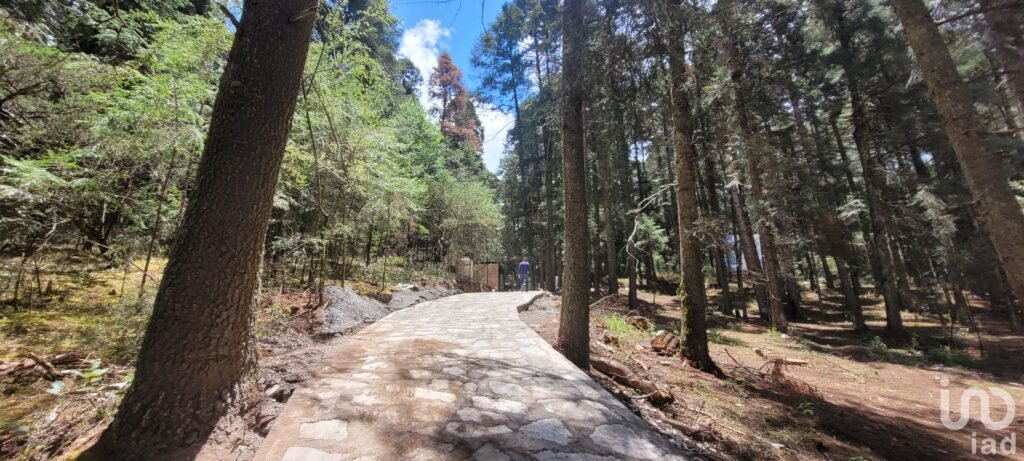 SE VENDE TERRENO RESIDENCIAL EN EL BOSQUE EN EL FRACC. LAS FLORES, MINERAL DE CHICO, HIDALGO