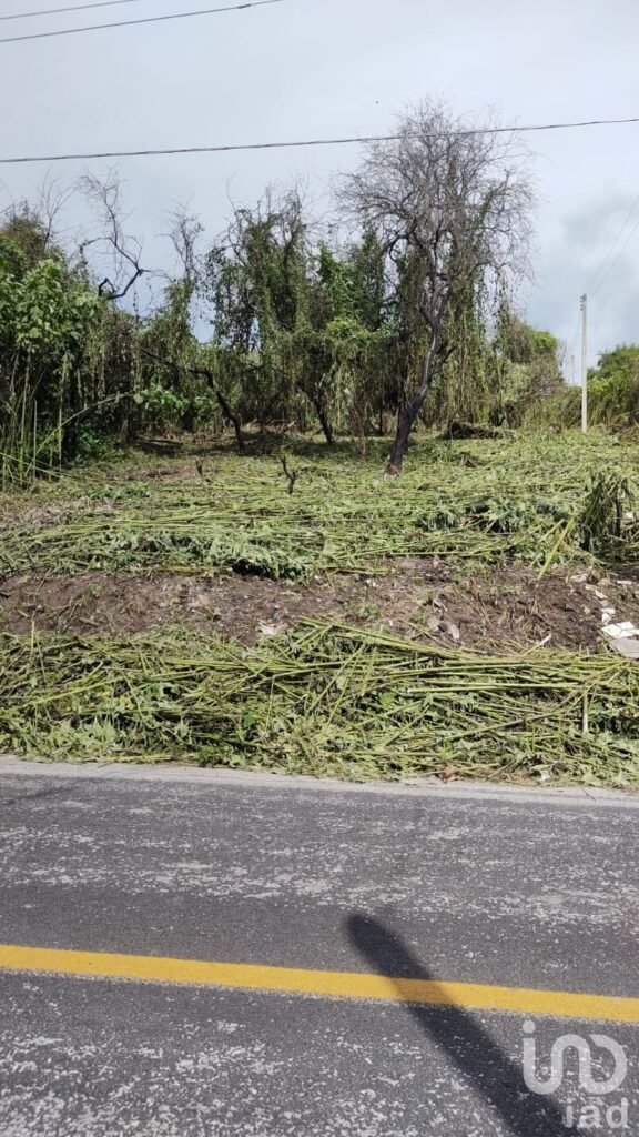 Terreno en Venta frente al Lago de Tequesquitengo, Jojutla, Morelos