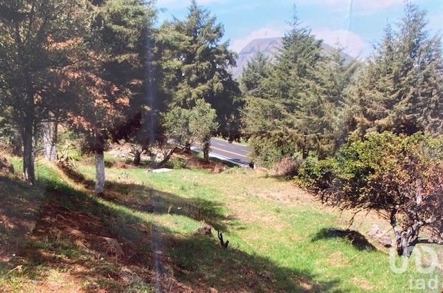 Terreno en venta en Tlalmanalco en Estado de México