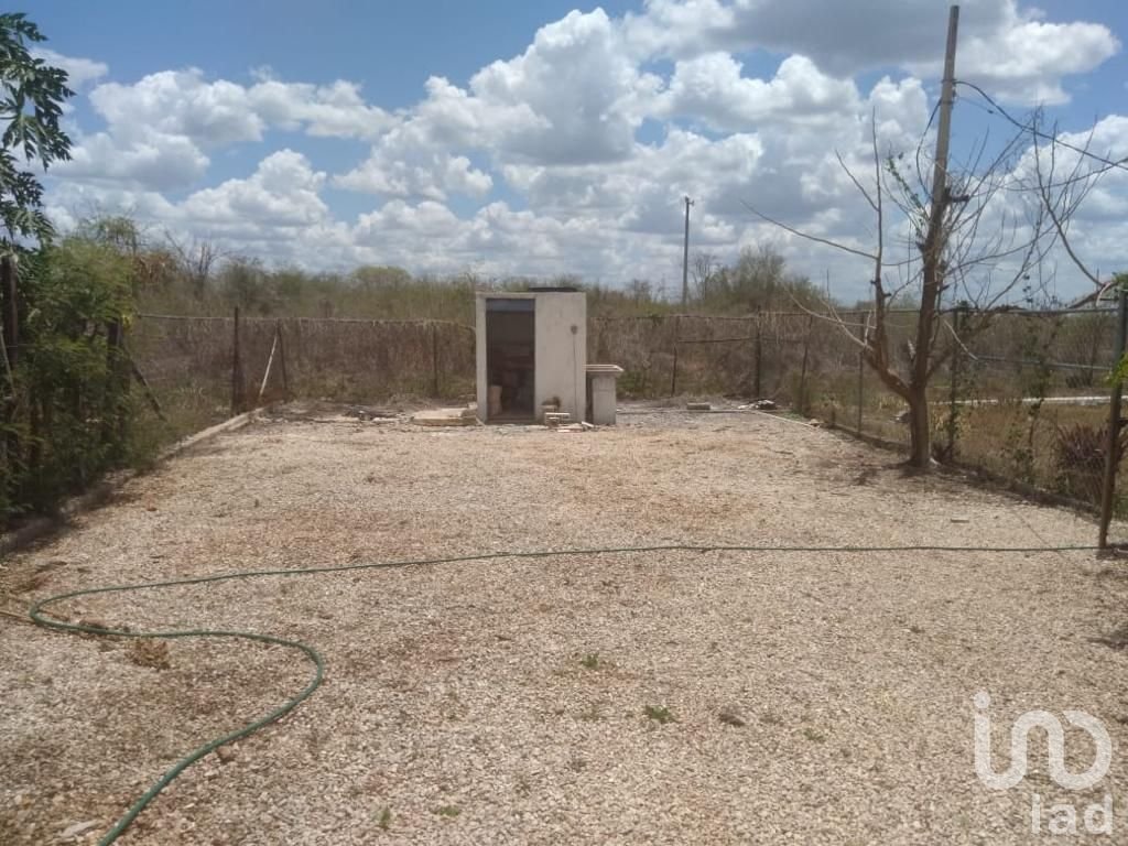 PROPIEDAD CON CASA, GRANJA Y AMPLIO TERRENO EN SITPACH NORTE YUCATAN