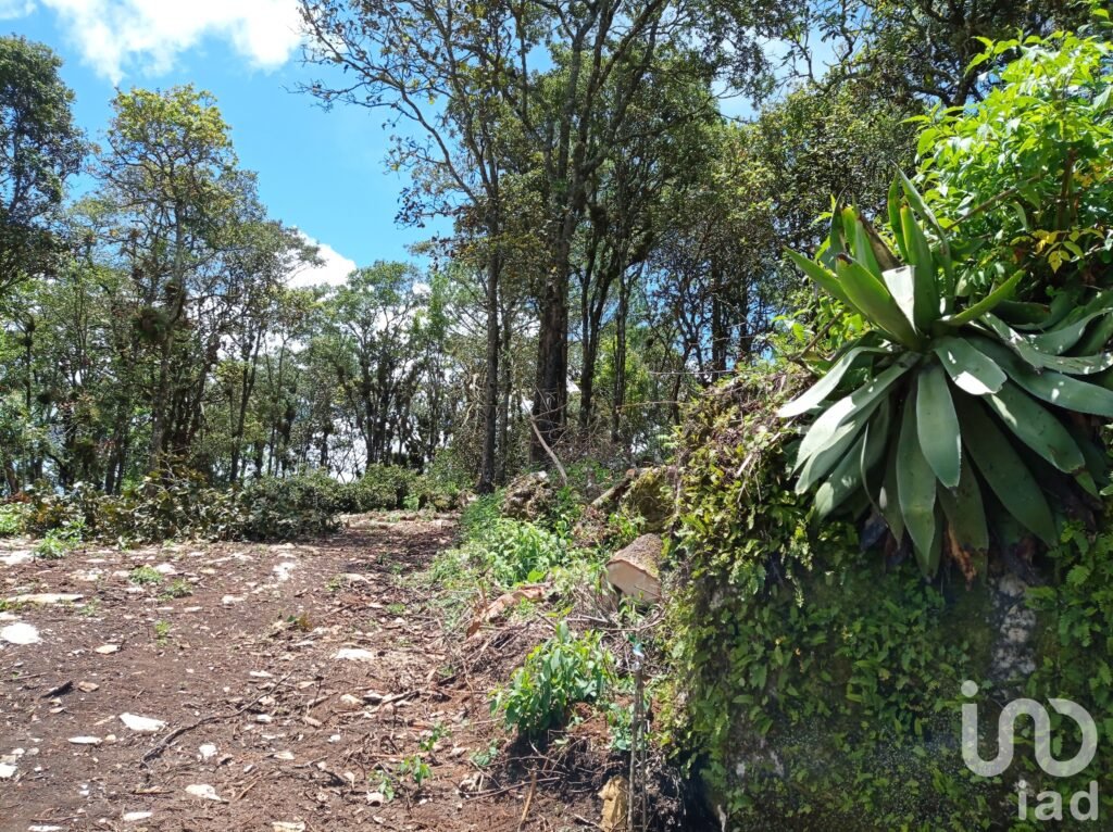 Terreno en venta en San Cristóbal de las Casas , Chiapas