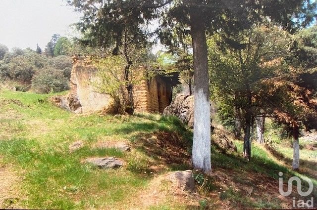 Terreno en venta en Tlalmanalco en Estado de México