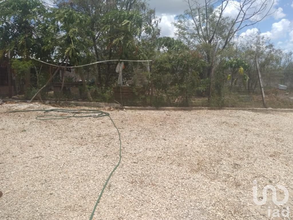 PROPIEDAD CON CASA, GRANJA Y AMPLIO TERRENO EN SITPACH NORTE YUCATAN