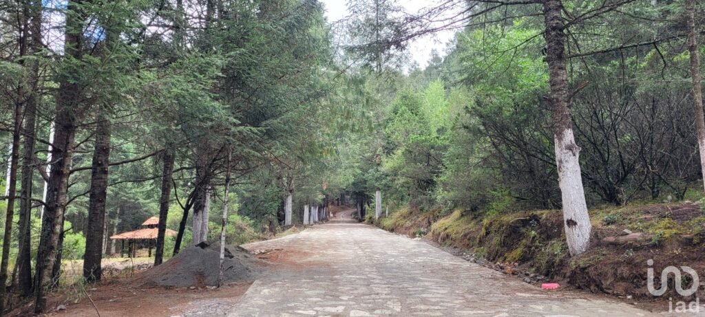 SE VENDE TERRENO RESIDENCIAL EN EL BOSQUE EN EL FRACC. LAS FLORES, MINERAL DE CHICO, HIDALGO