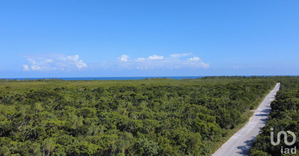 Departamento en venta en Tulum, Quintana Roo. Oportunidad de inversión.