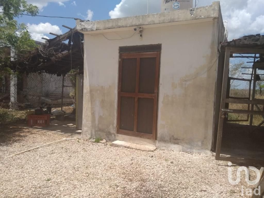 PROPIEDAD CON CASA, GRANJA Y AMPLIO TERRENO EN SITPACH NORTE YUCATAN