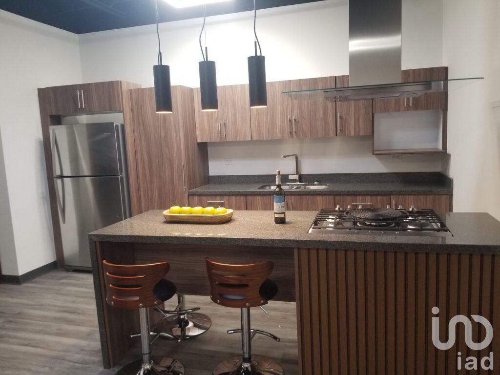 Departamento Nuevo Completamente Amueblado Ejecutivo