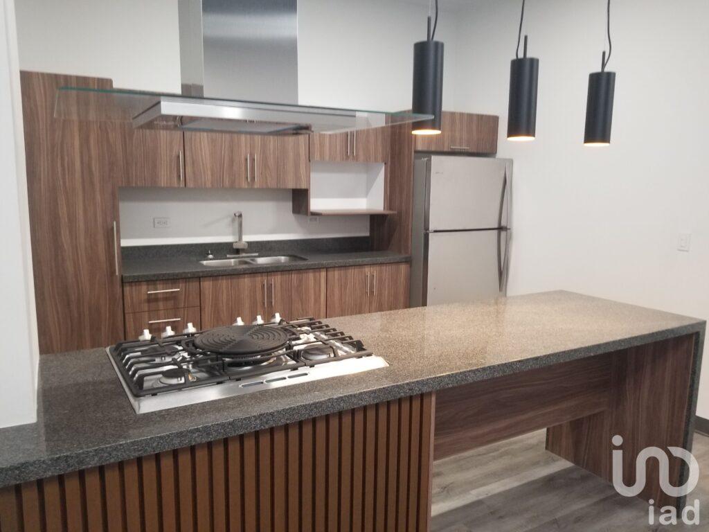 Departamento Nuevo Ejecutivo Equipado Amplio