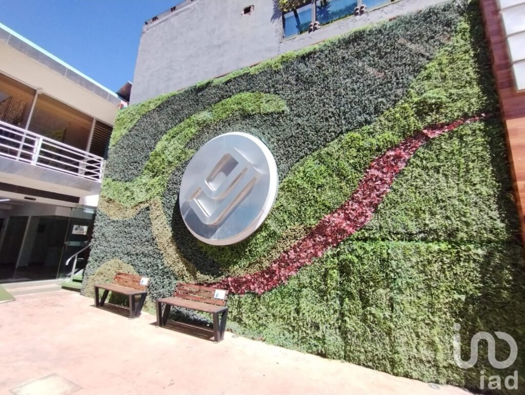 SE RENTA LOCAL COMERCIAL. PLAZA  JUÁREZ, TULANCINGO, HGO.