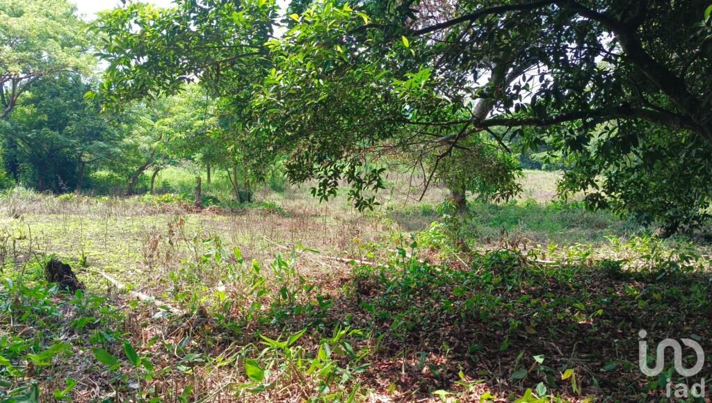 Terreno en venta en Dos de Abril en San Andrés Tuxtla, Ver.