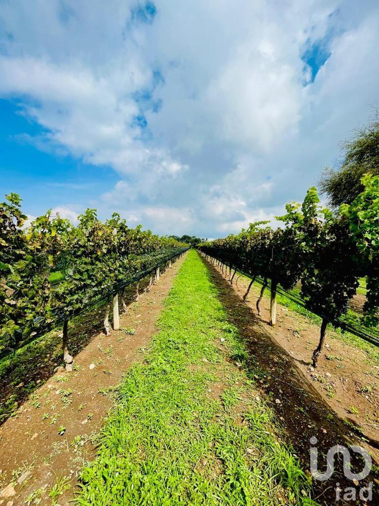 Pre Venta de departamento en un viñedo en  Ezequiel Montes, Qro,