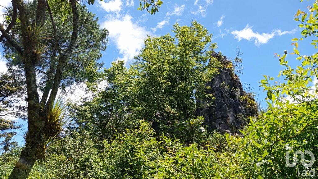 Terreno en venta en San Cristóbal de las Casas , Chiapas