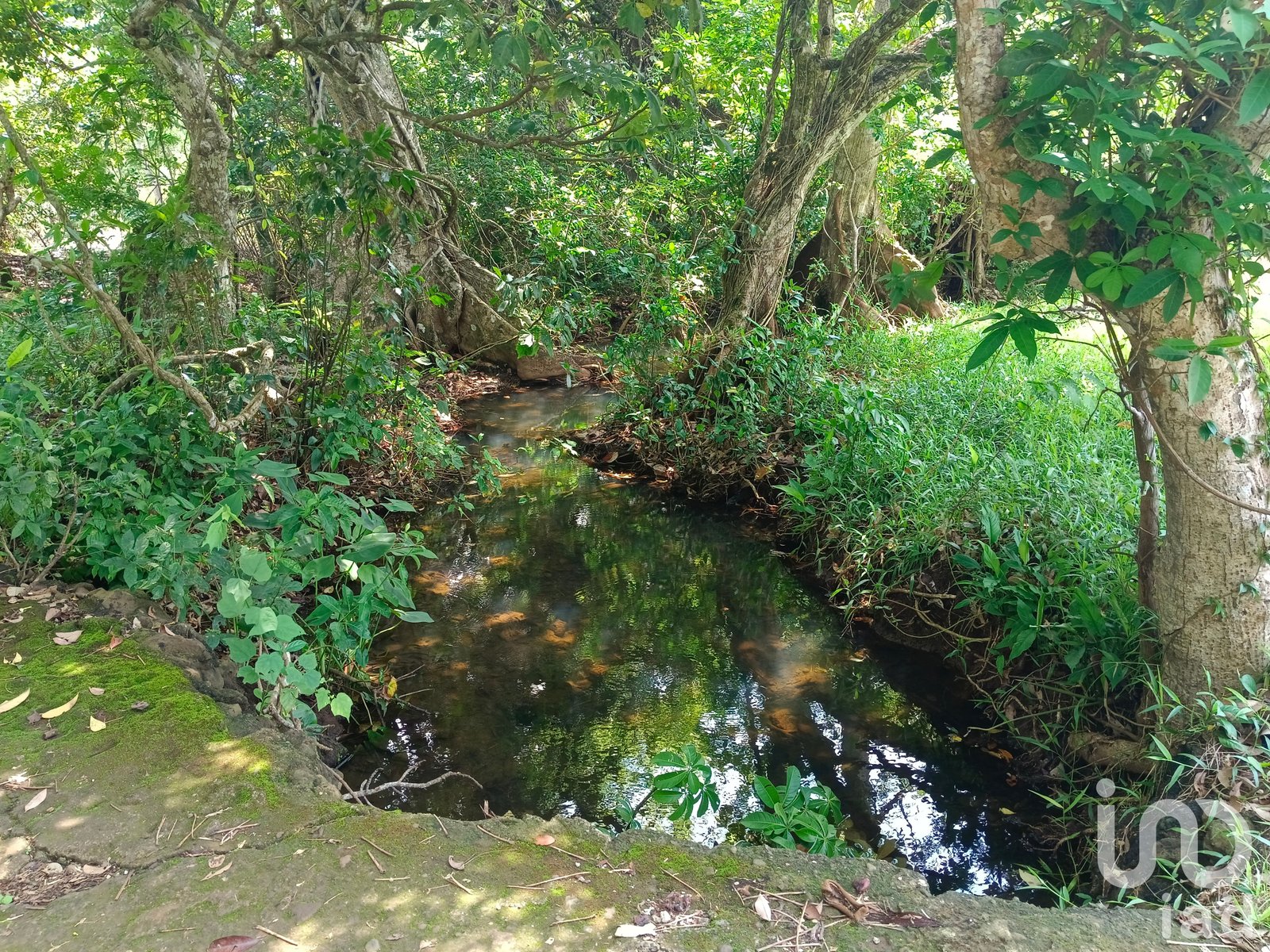 Terreno en venta en Dos de Abril en San Andrés Tuxtla, Ver.