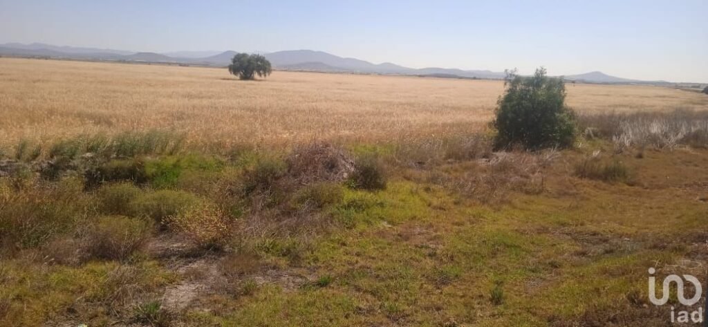 TERRENO EN VENTA EN  MUNICIPIO DE ZAPOTLAN DE JUAREZ HIDALGO