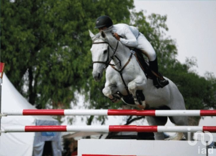 Terreno en venta en Corregidora, Querétaro
