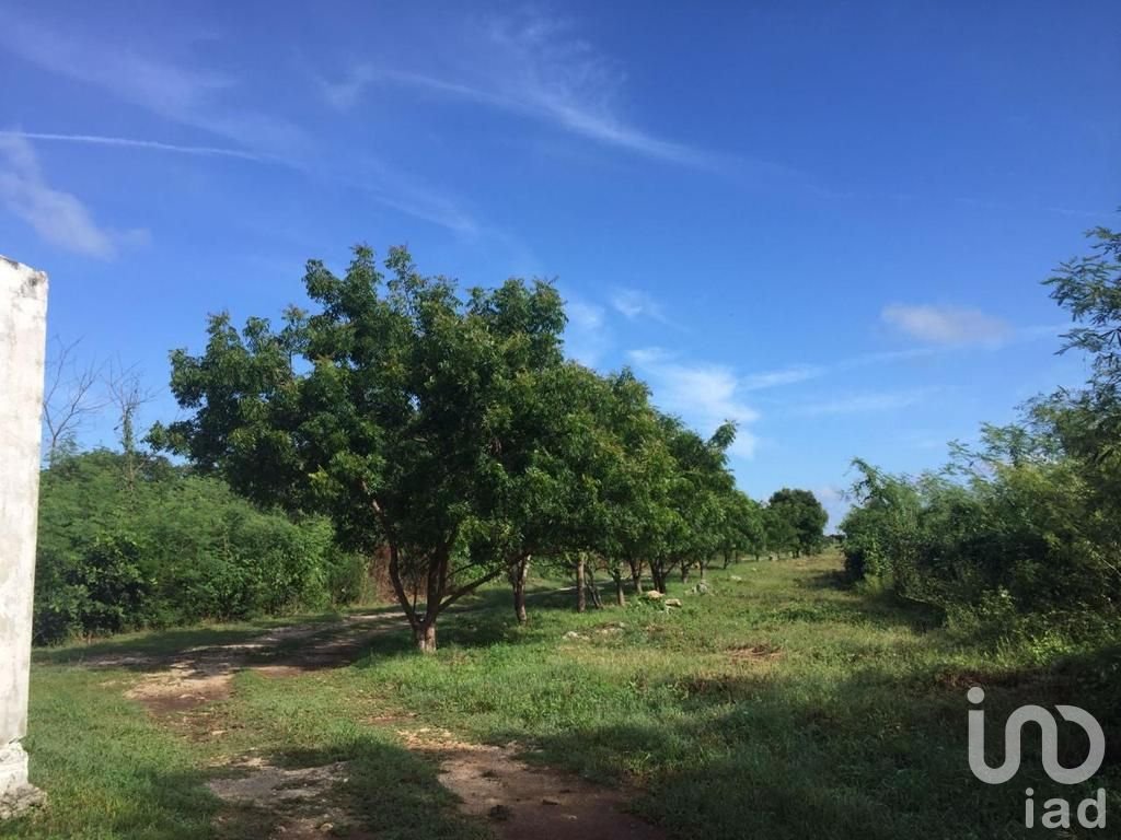 PROPIEDAD CON CASA, GRANJA Y AMPLIO TERRENO EN SITPACH NORTE YUCATAN