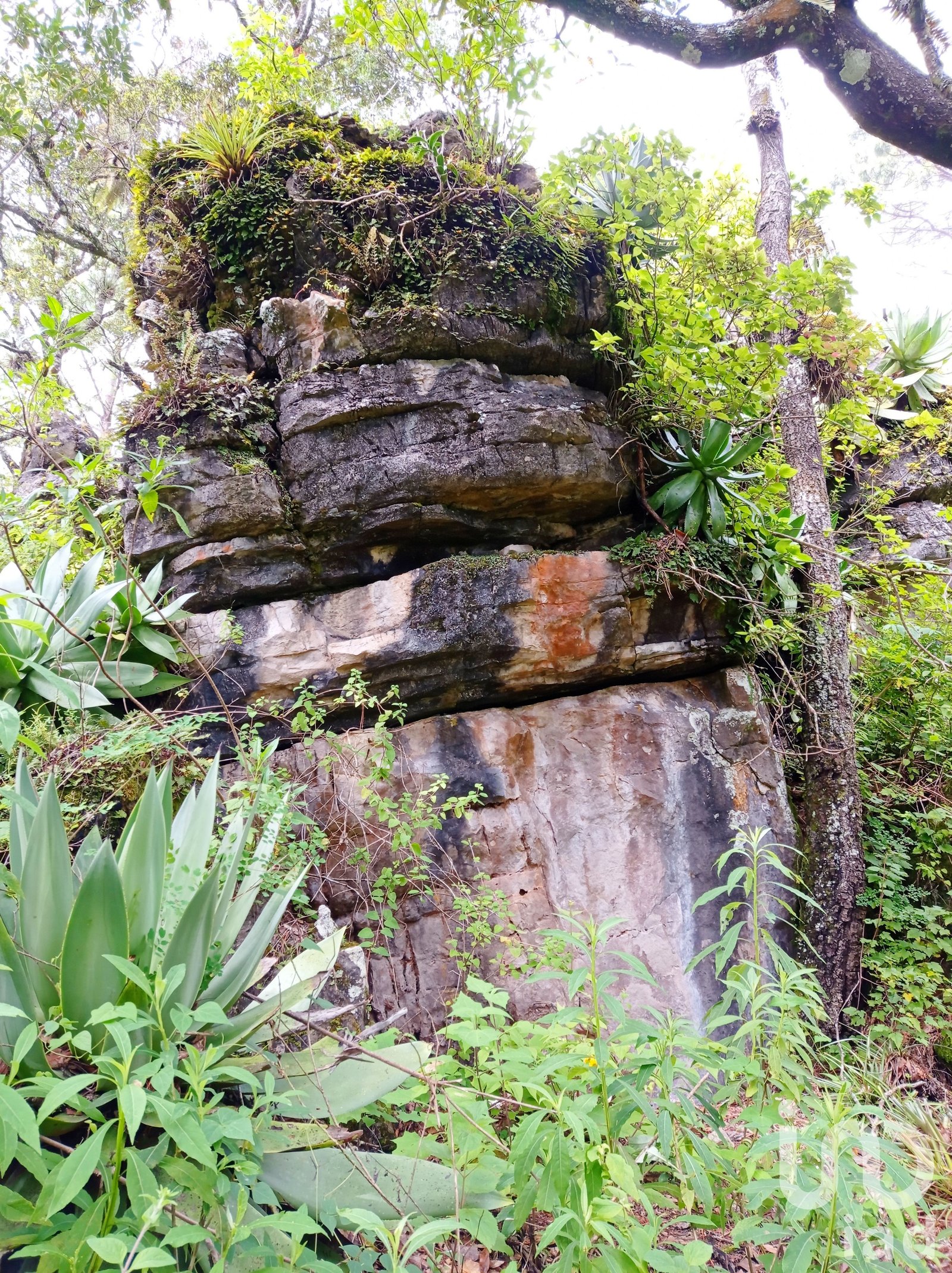 Terreno en venta en San Cristóbal de las Casas , Chiapas