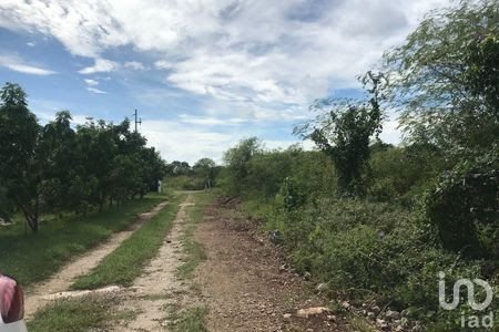 Terreno en Venta en Sitpach Conkal al norte de Mérida