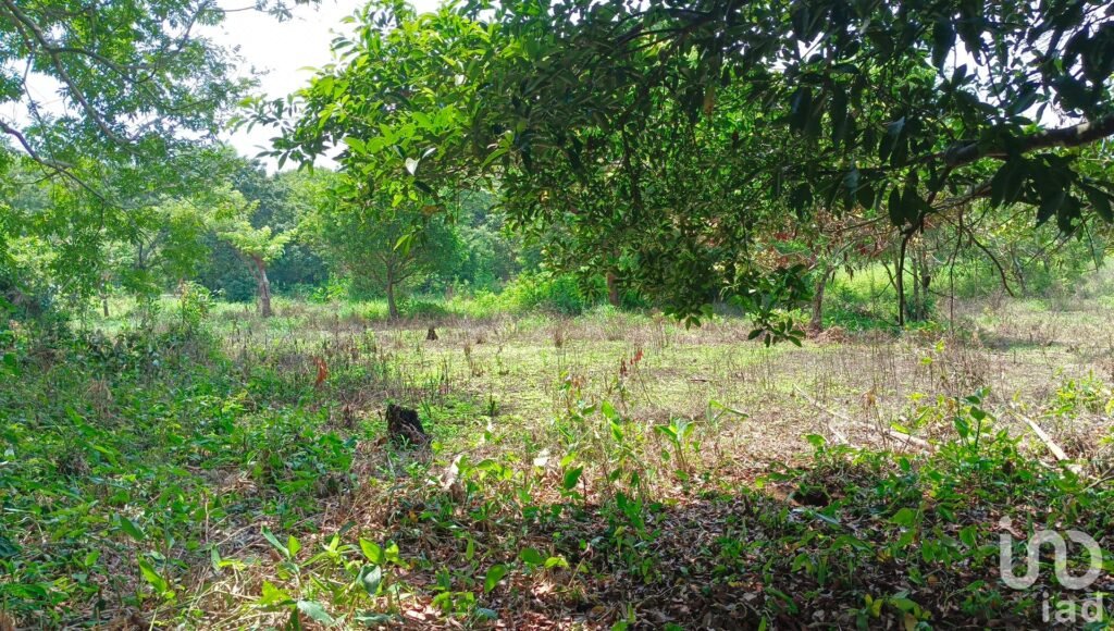 Terreno en venta en Dos de Abril en San Andrés Tuxtla, Ver.