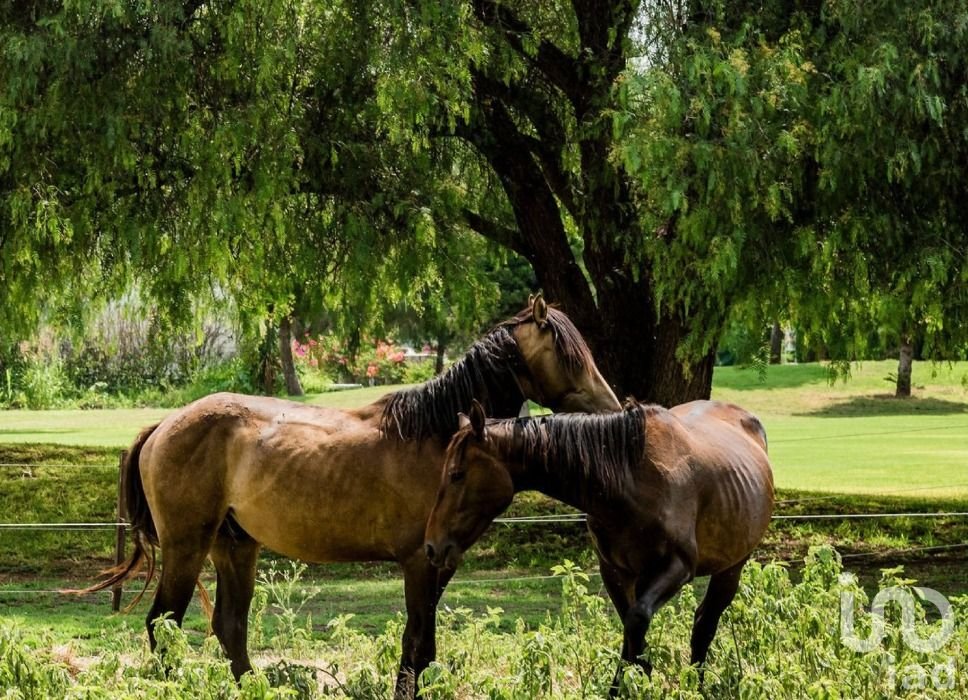 Terreno en venta en Corregidora, Querétaro