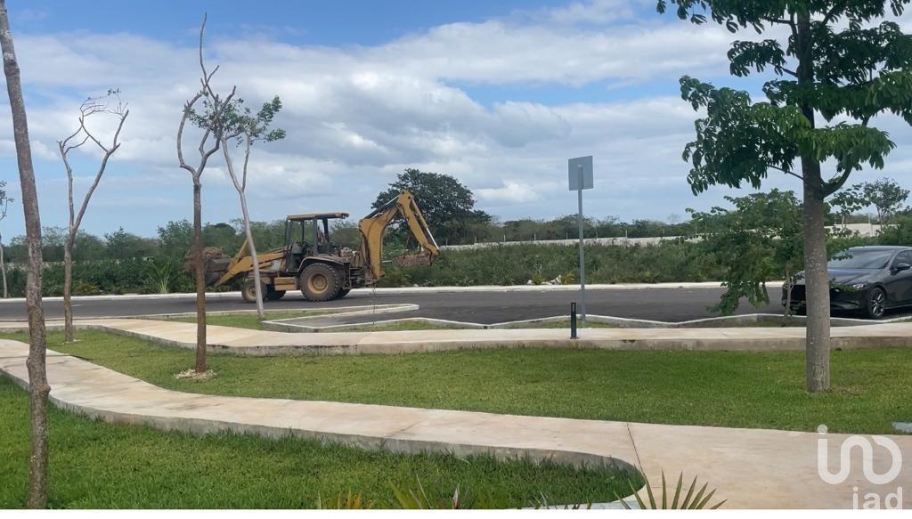 TERRENO EN VENTA EN CAMELIA RESIDENCIAL SITPACH MÉRIDA